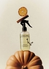 Парфумований спрей для дому Sister’s Aroma PUMPKIN SPICE 230 мл - 2