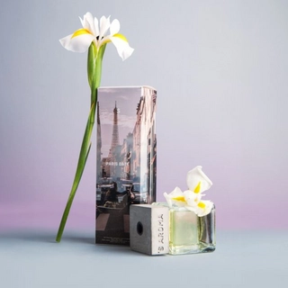 Аромат для дому Sister’s Aroma PARIS DATE